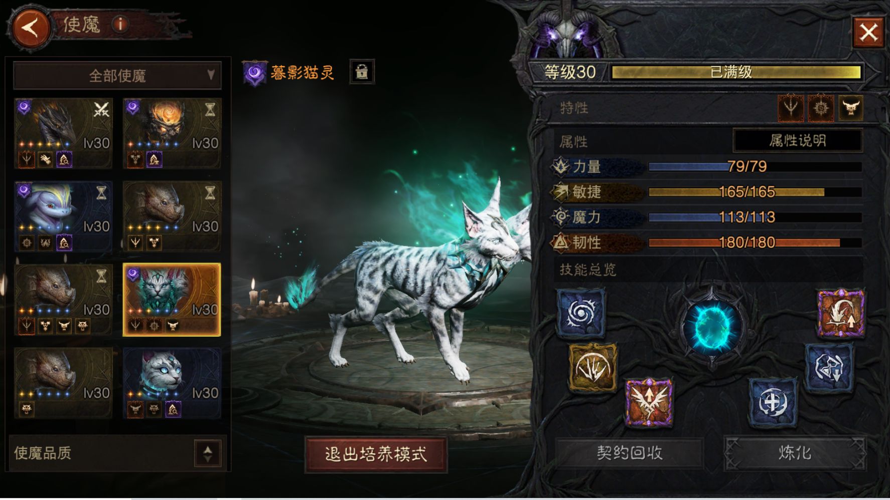 AH22995暗黑不朽账号详情图13 AH22995暗黑不朽账号详情图13