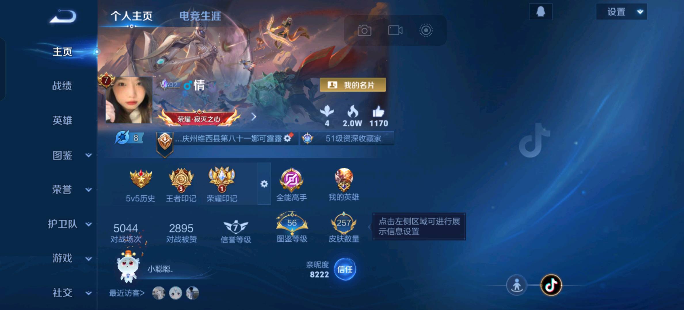 WZ3366229王者荣耀账号详情图1