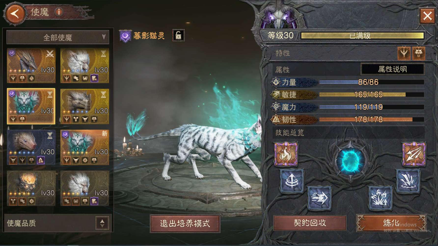 AH23037暗黑不朽账号详情图13