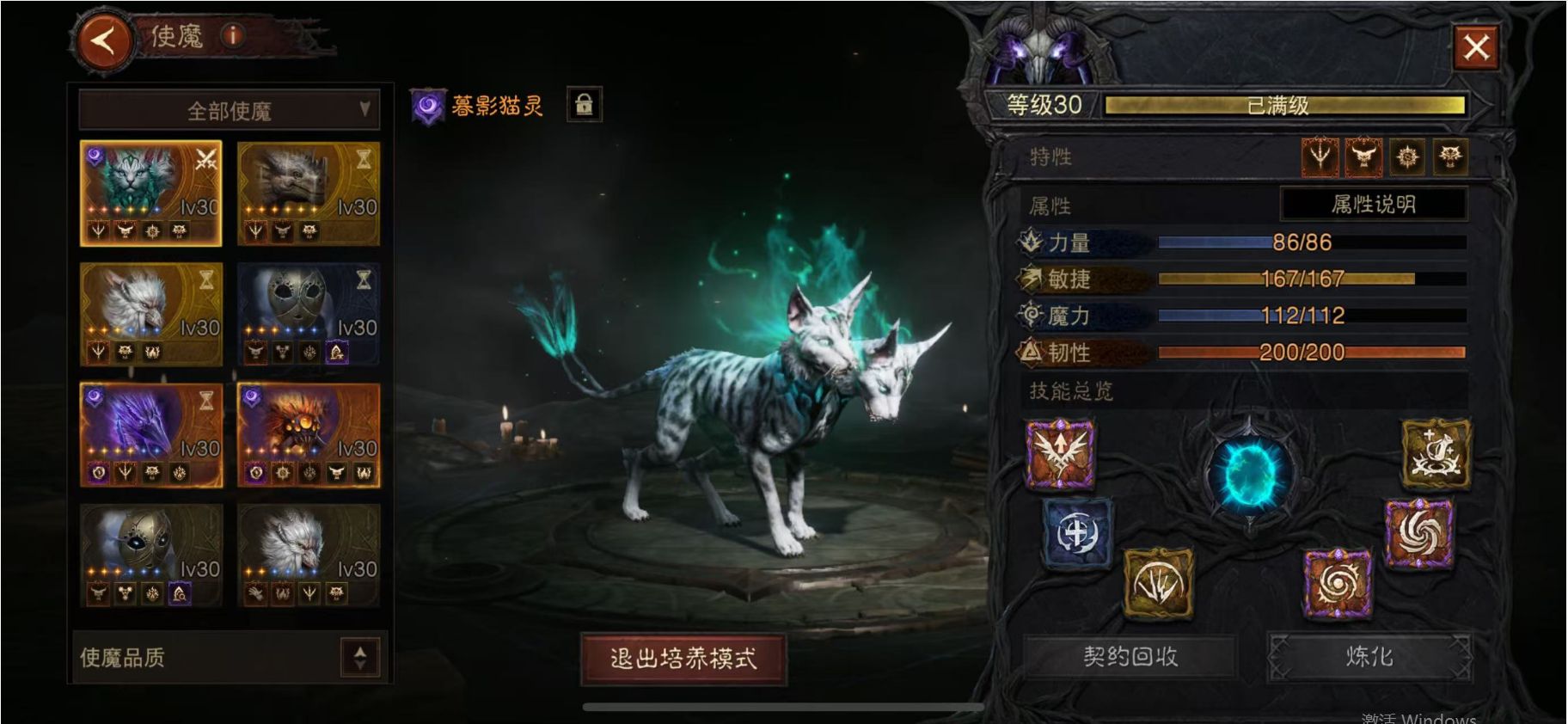 AH23039暗黑不朽账号详情图13