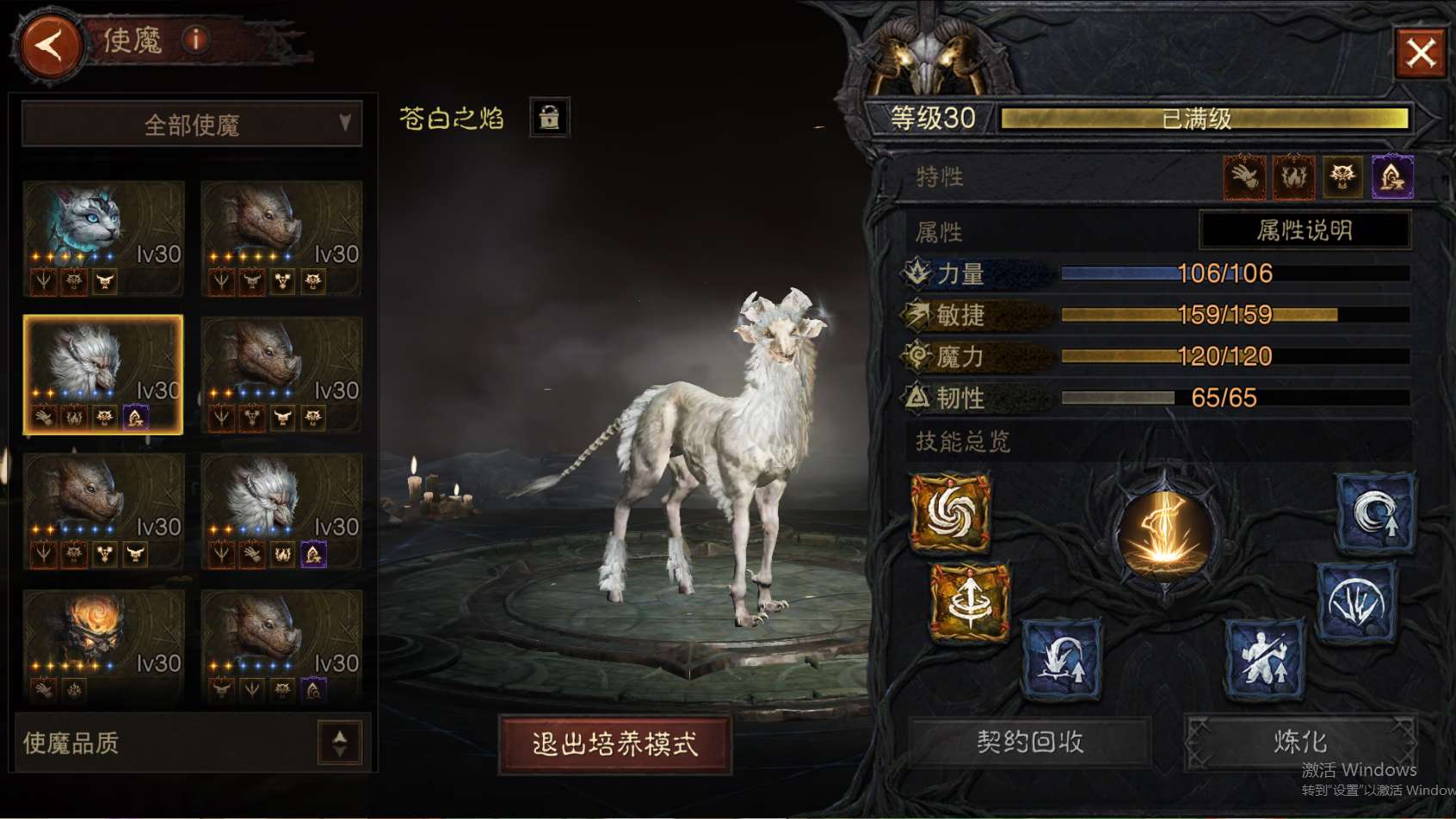 AH23047暗黑不朽账号详情图20