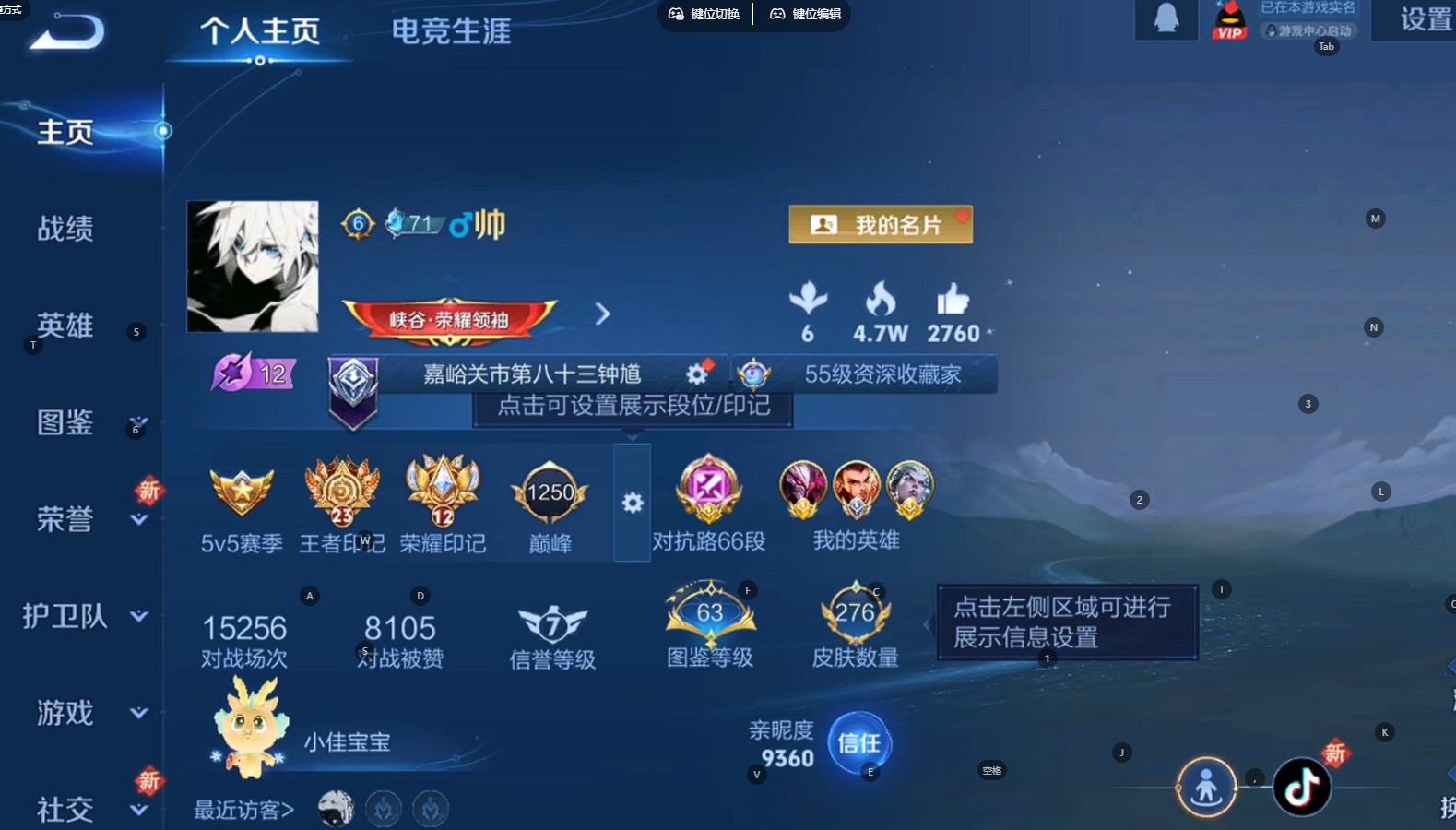 WZ3384360王者荣耀账号详情图10