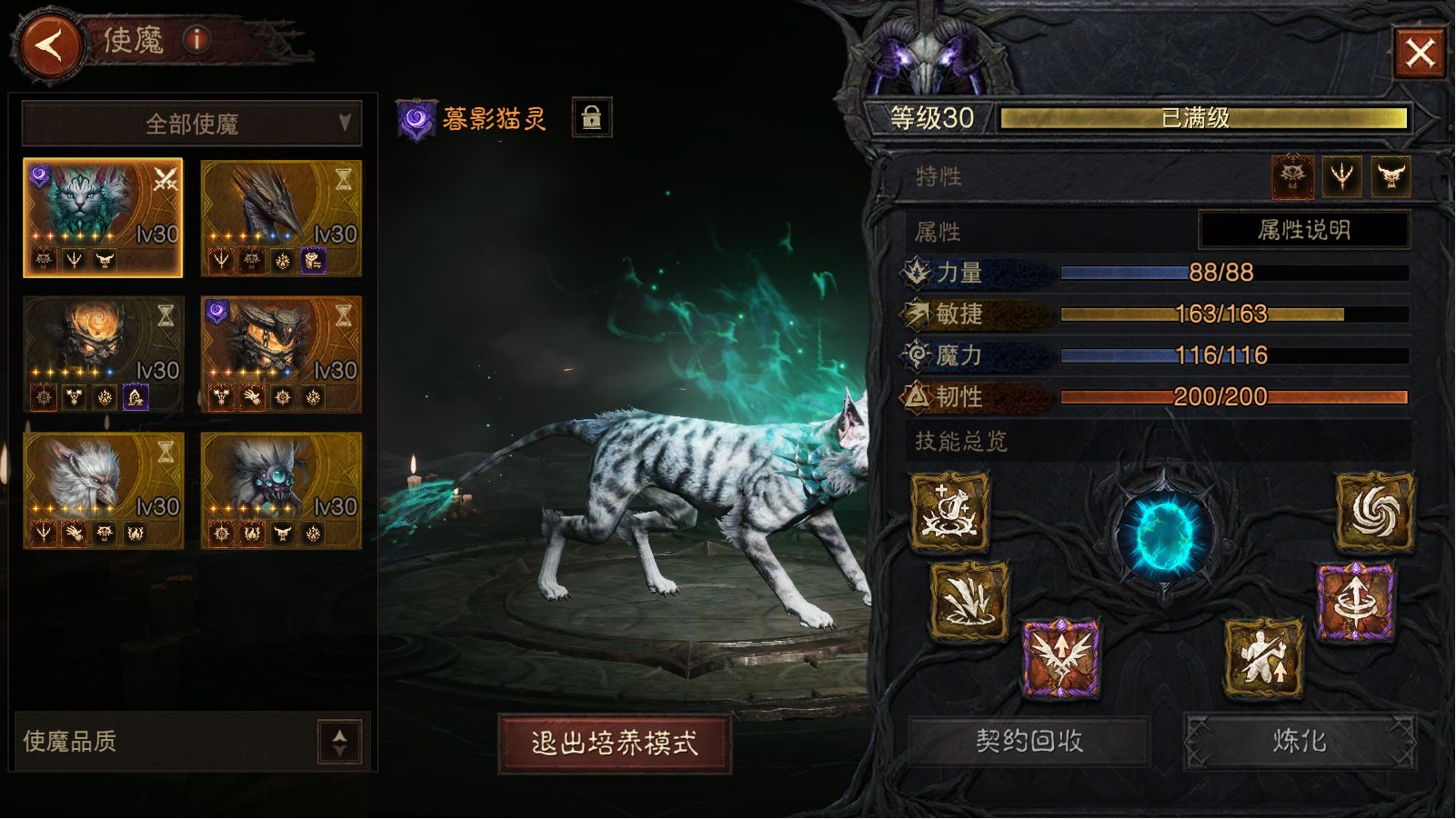 AH12217暗黑不朽账号详情图14