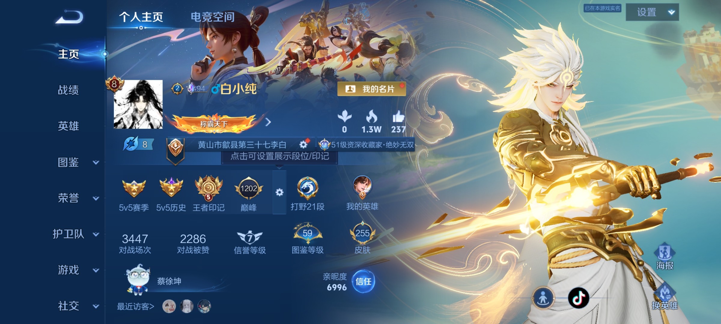 WZ3377401王者荣耀账号详情图9